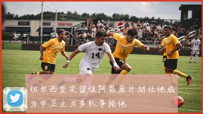切尔西坚定留住阿昌庞计划让他成为中卫主力多队争抢他