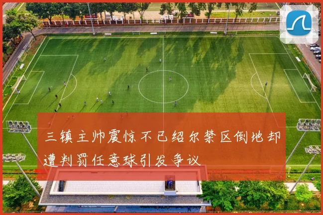 三镇主帅震惊不已绍尔禁区倒地却遭判罚任意球引发争议